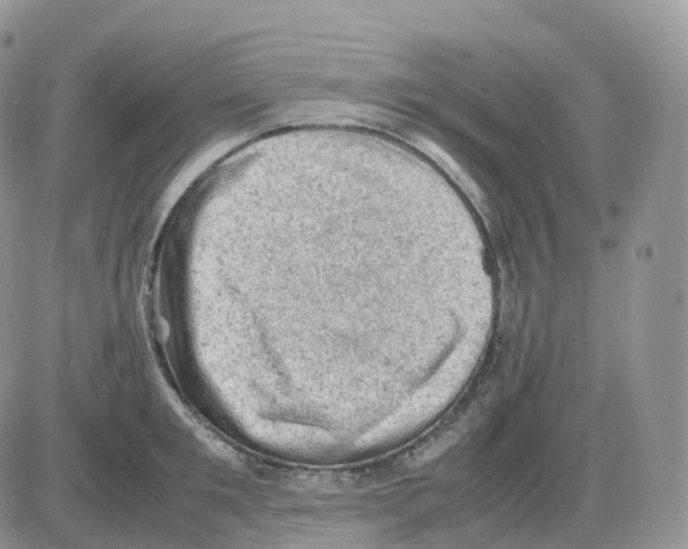 X0000086030901200704201943