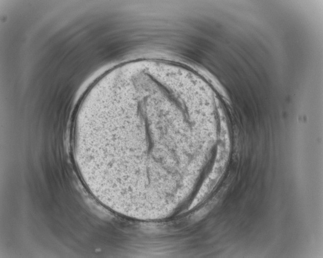 X0000086030904200704201943