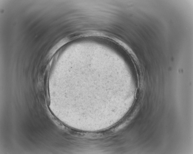 X0000086030905200704201943