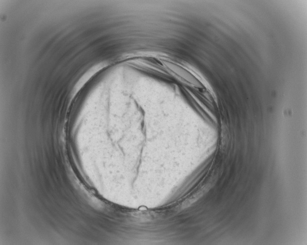 X0000086030906200704201943