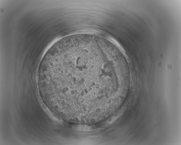 X0000086030907200704201943