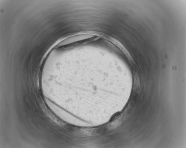 X0000086030908200704201943