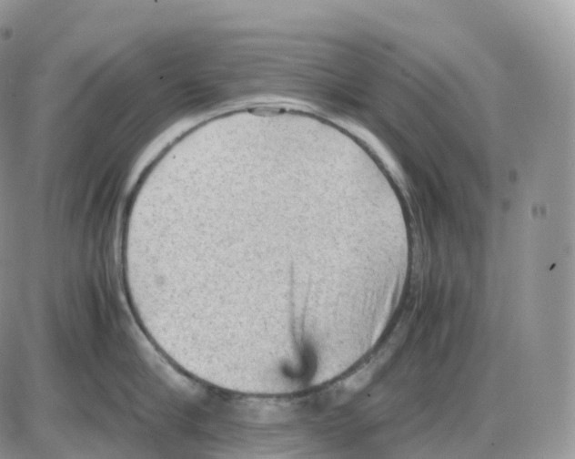 X0000086030910200704201943