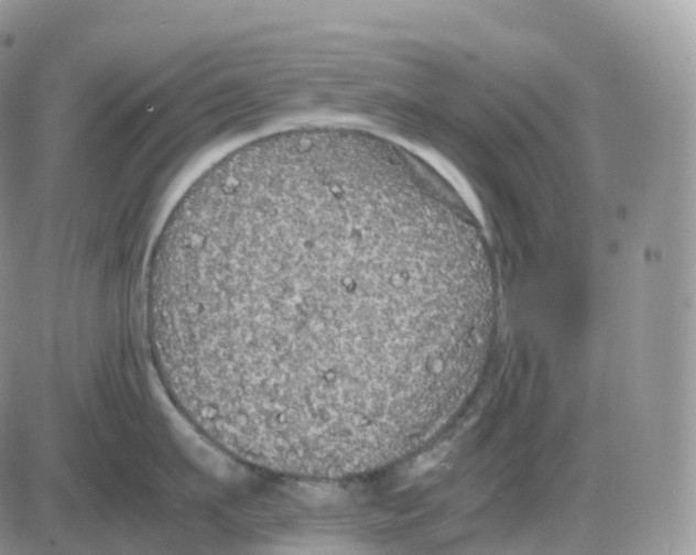 X0000086030911200704201943