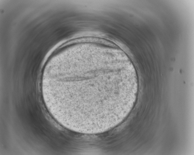 X0000086030912200704201943