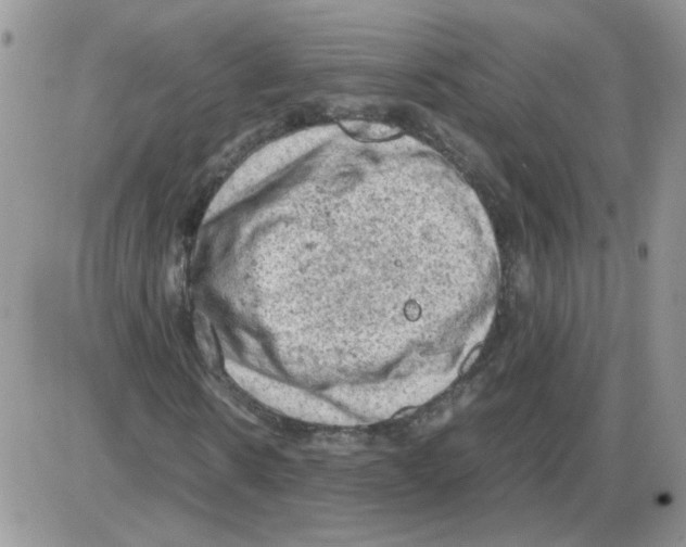 X0000086030914200704201942