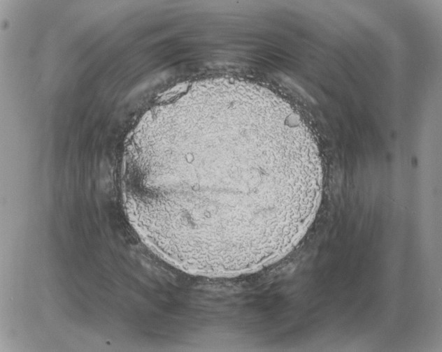 X0000086030917200704201942