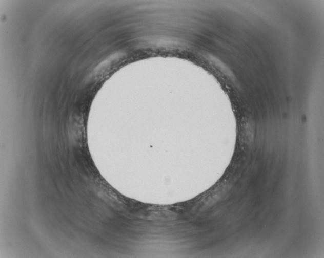 X0000086030918200704201942