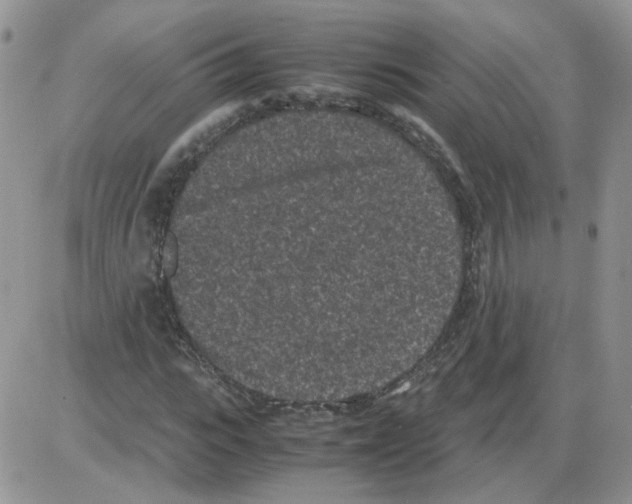 X0000086030919200704201942