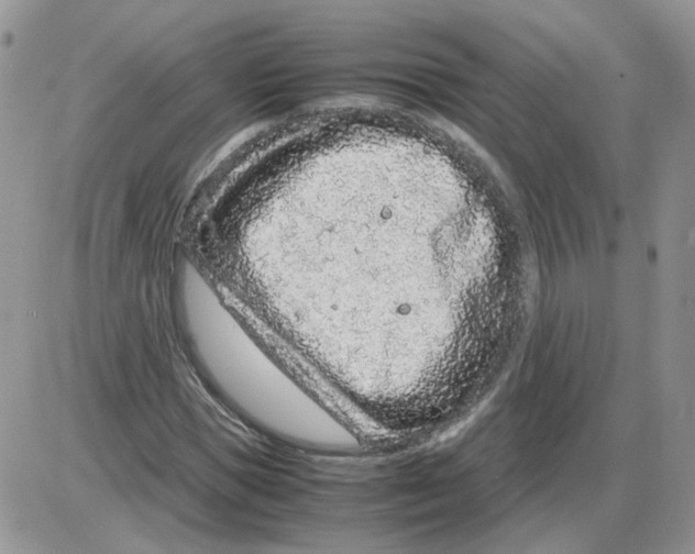 X0000086030921200704201942