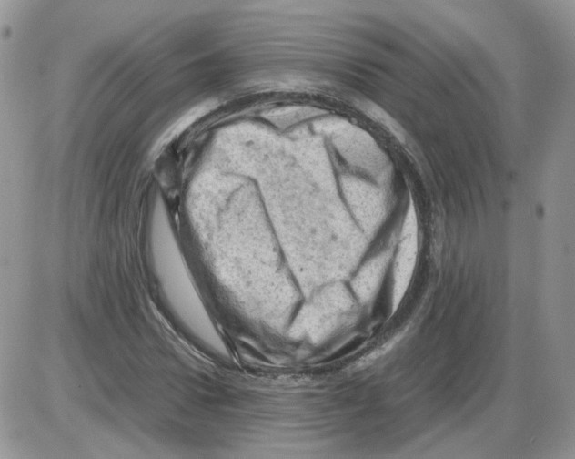 X0000086030922200704201942