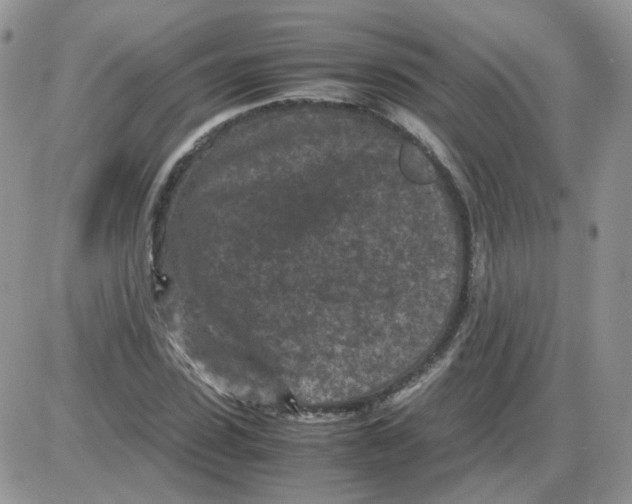 X0000086030923200704201942