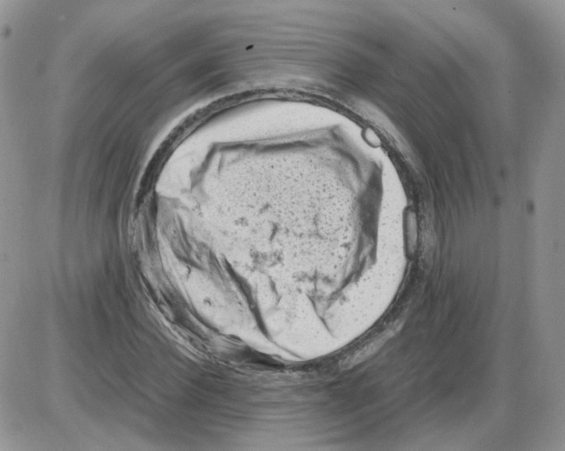 X0000086030924200704201942