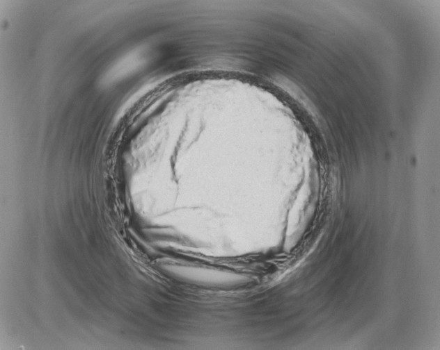 X0000086030925200704201942