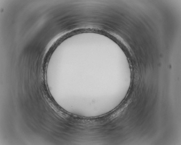 X0000086030927200704201942