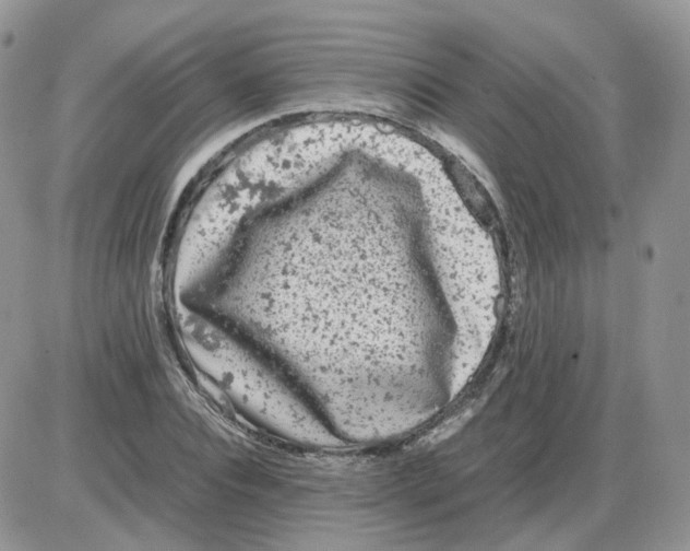 X0000086030928200704201942