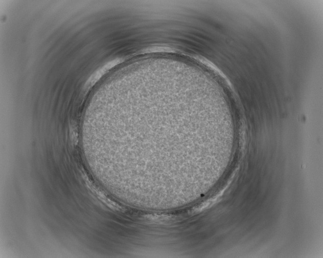 X0000086030929200704201942