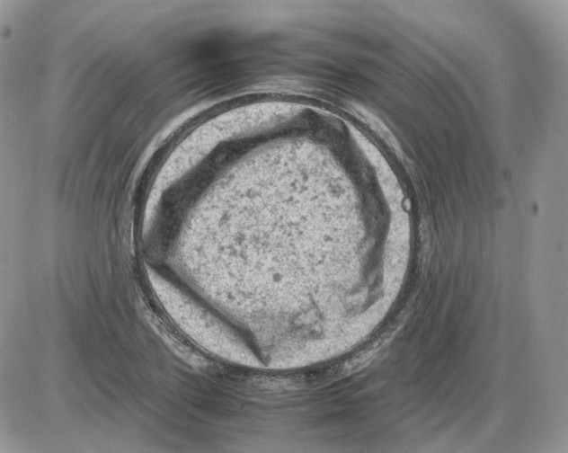 X0000086030931200704201942