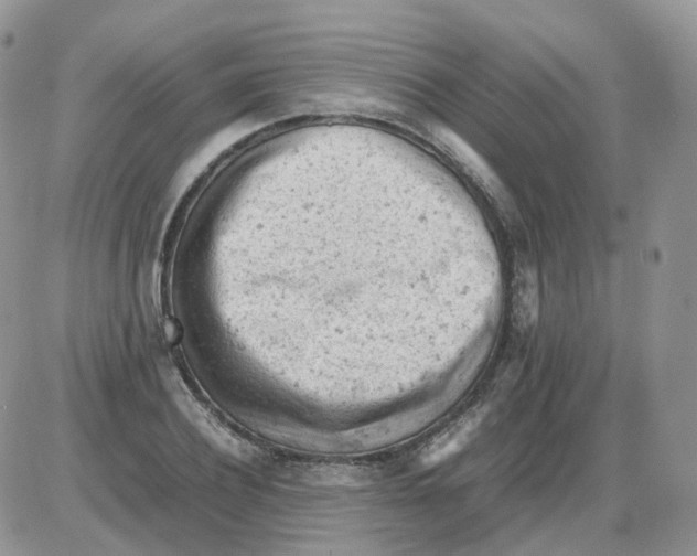 X0000086030932200704201942