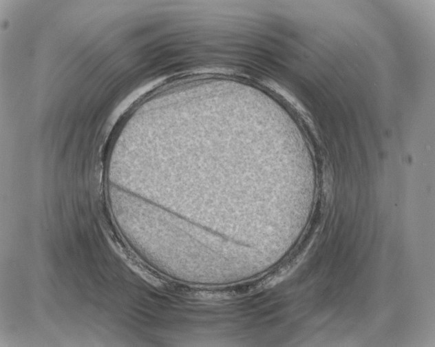 X0000086030933200704201942