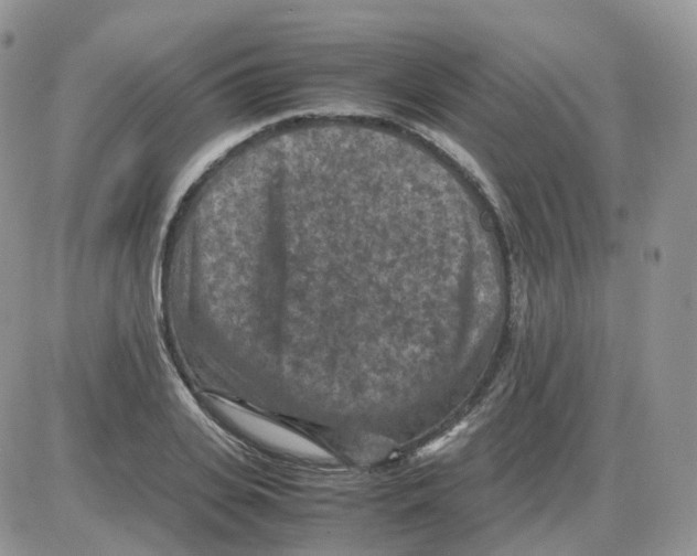 X0000086030935200704201942