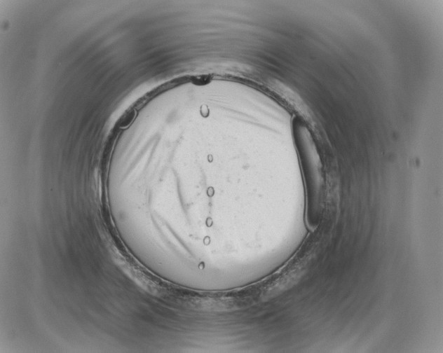 X0000086030936200704201942