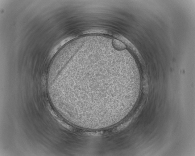 X0000086030937200704201942