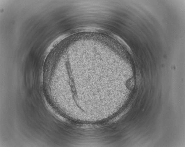 X0000086030938200704201942