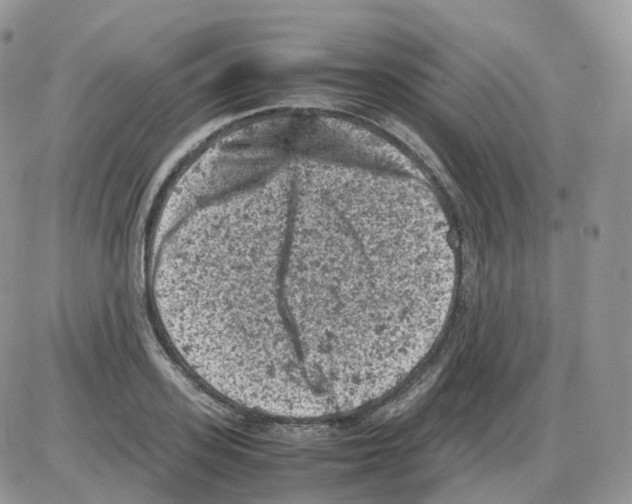 X0000086030939200704201943