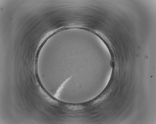 X0000086030941200704201943