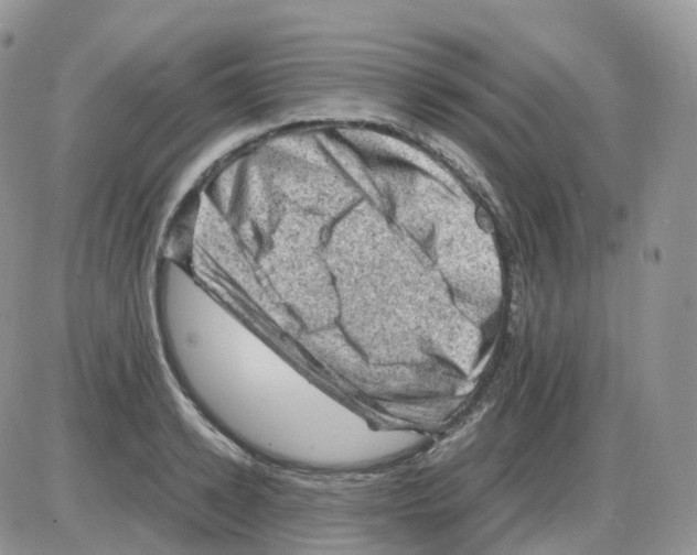 X0000086030942200704201943