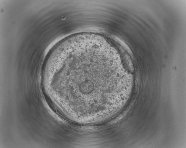 X0000086030944200704201943