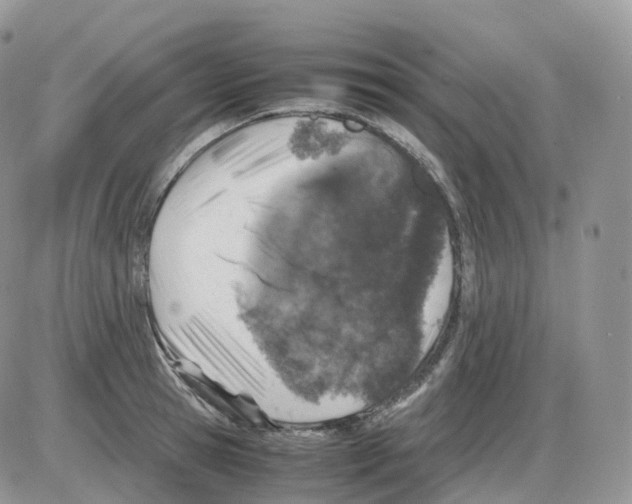 X0000086030945200704201943