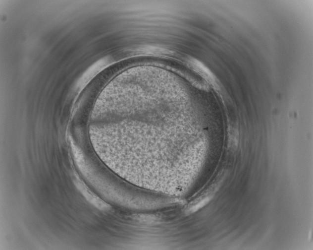 X0000086030946200704201943