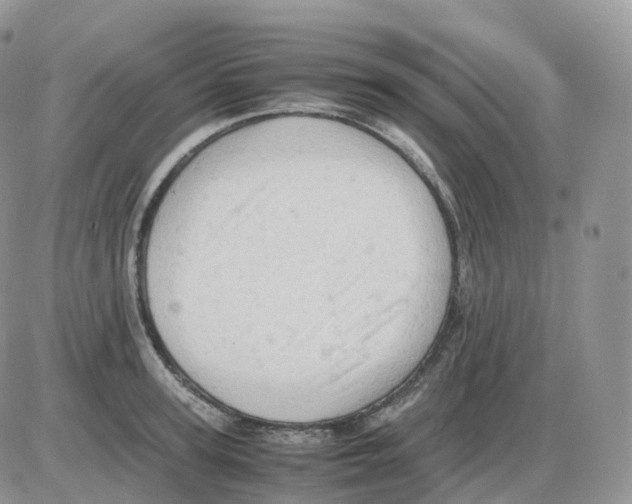 X0000086030947200704201943