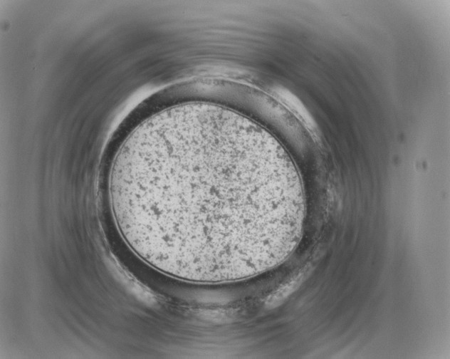 X0000086030948200704201943