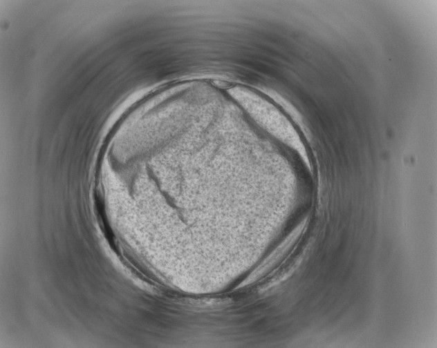 X0000086030949200704201943