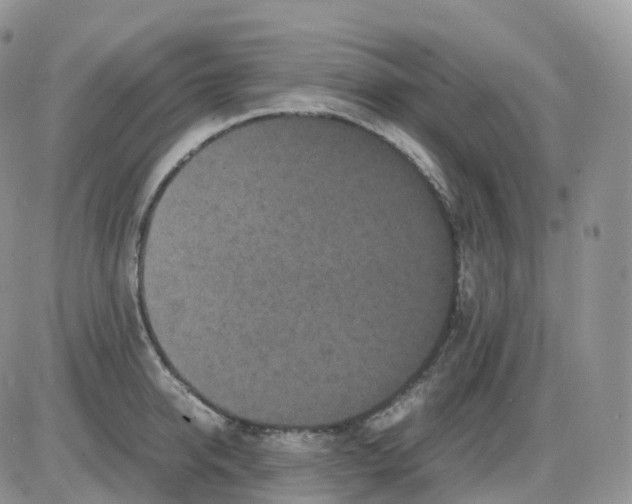 X0000086030950200704201943