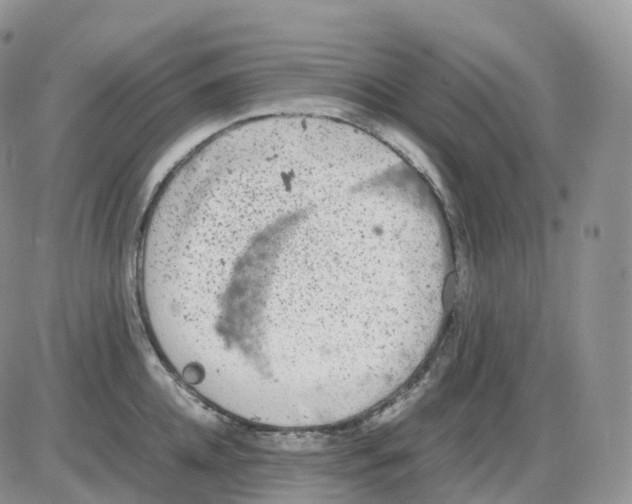 X0000086030952200704201943