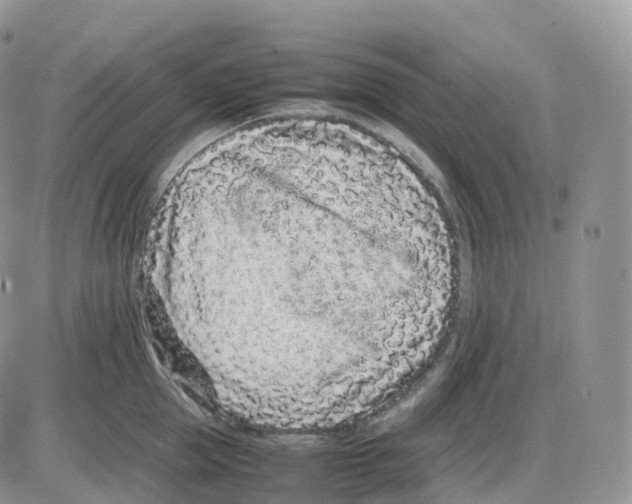 X0000086030953200704201943