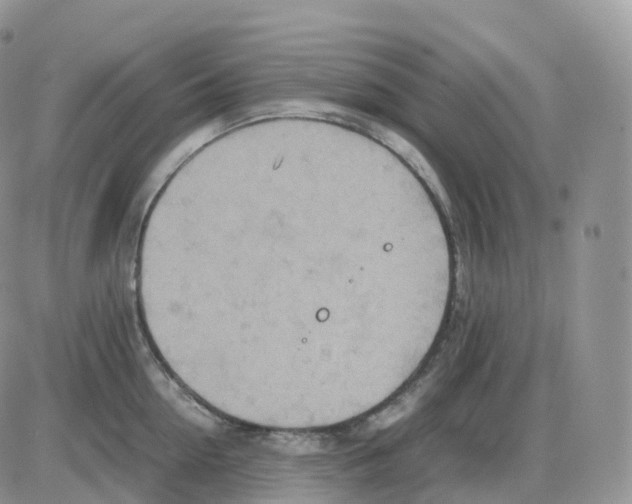 X0000086030954200704201943