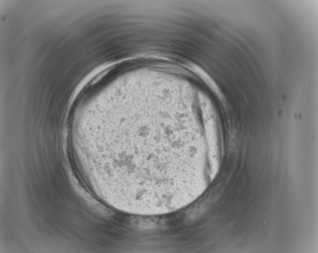 X0000086030955200704201943