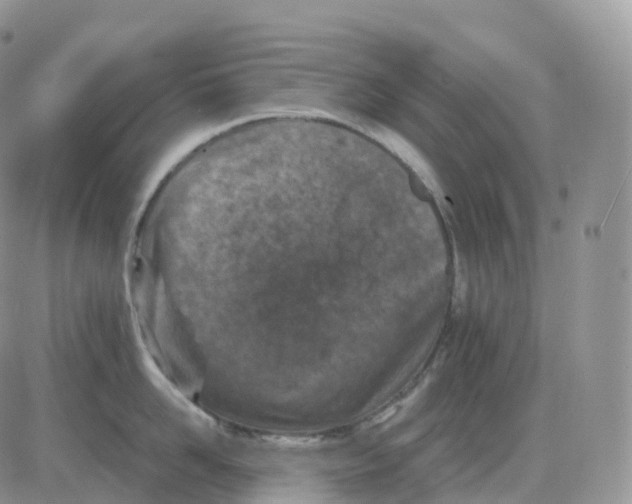 X0000086030958200704201943