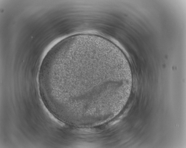 X0000086030959200704201943