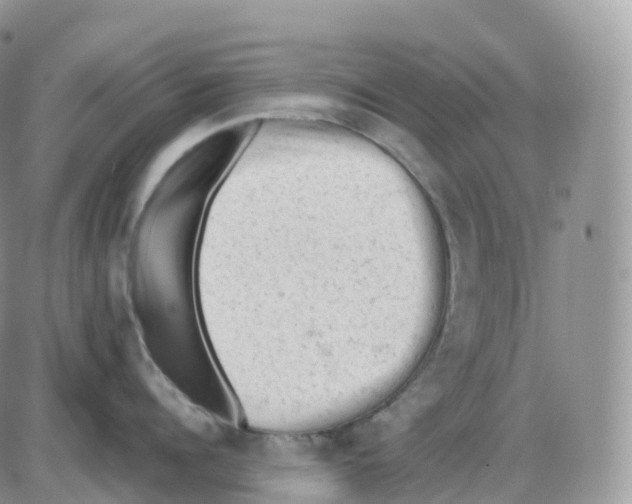 X0000086030960200704201943