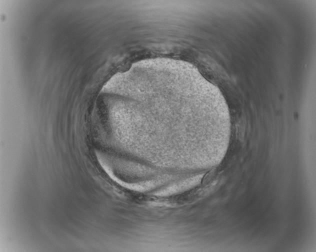 X0000086030961200704201942