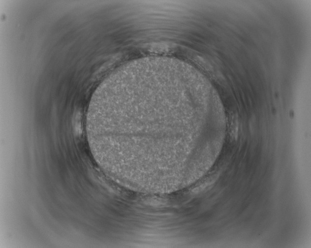 X0000086030962200704201942