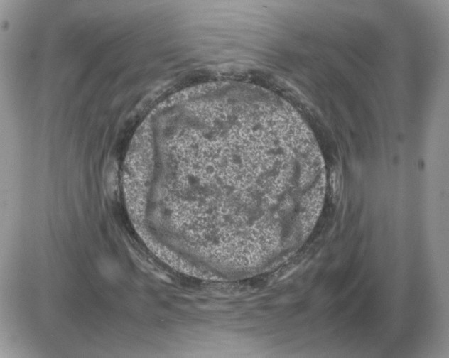 X0000086030963200704201942