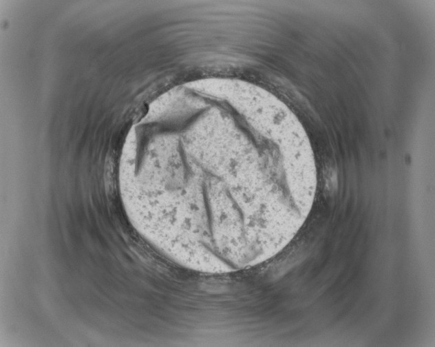 X0000086030964200704201942