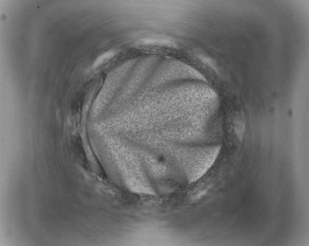 X0000086030965200704201942